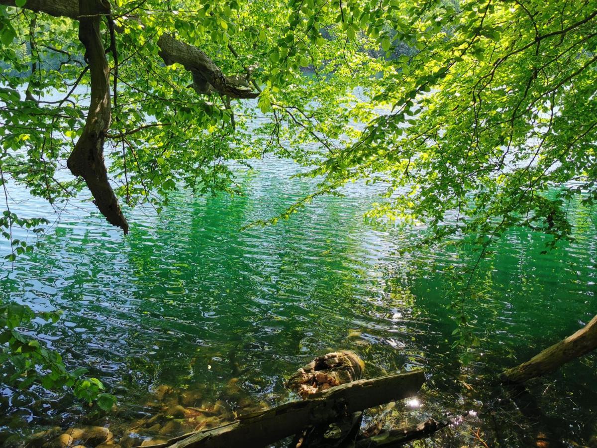 Tweet Tohuus Appartement Feldberger Seenlandschaft Buitenkant foto